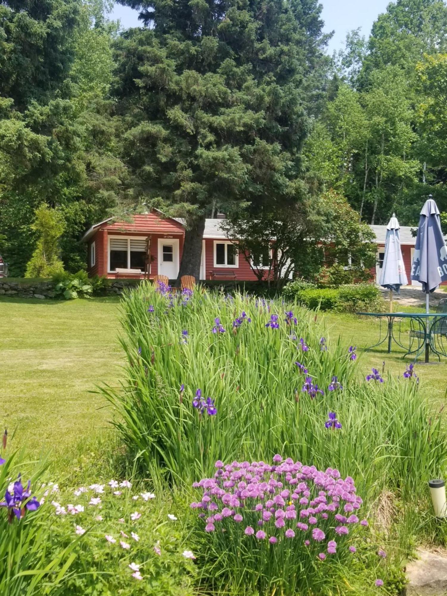 Kan-A-Mouche Pourvoirie Auberge Et Chalets Saint-Michel Oda fotoğraf
